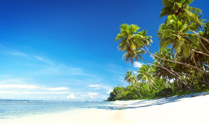 Summer Beach Tropical Paradise Seascape